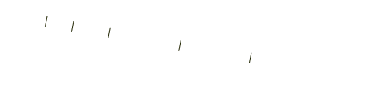 Home | Bio | Reels | On Location | Cast & Crew | Links/contact